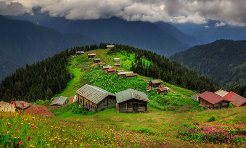 RİZE VİZE DANIŞMANLIĞI
