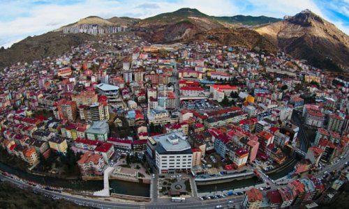 GÜMÜŞHANE VİZE DANIŞMANLIĞI